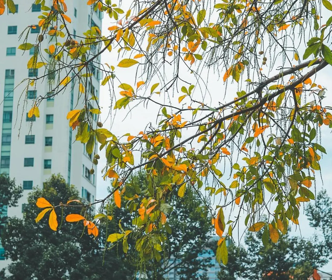 Pensionat Pink House - Cozy Studios Ho Chi Minh-staden